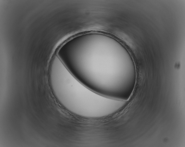 X0000097661316200802290912