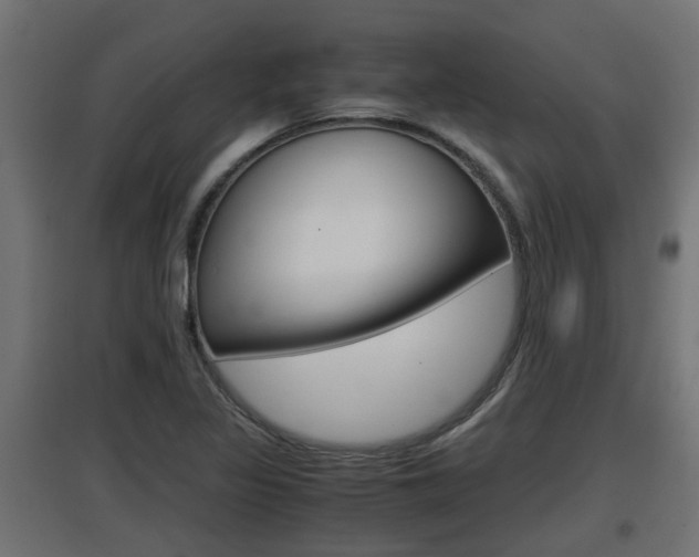 X0000097661317200802290912