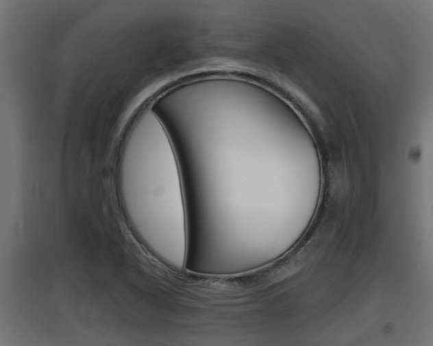 X0000097661318200802290912