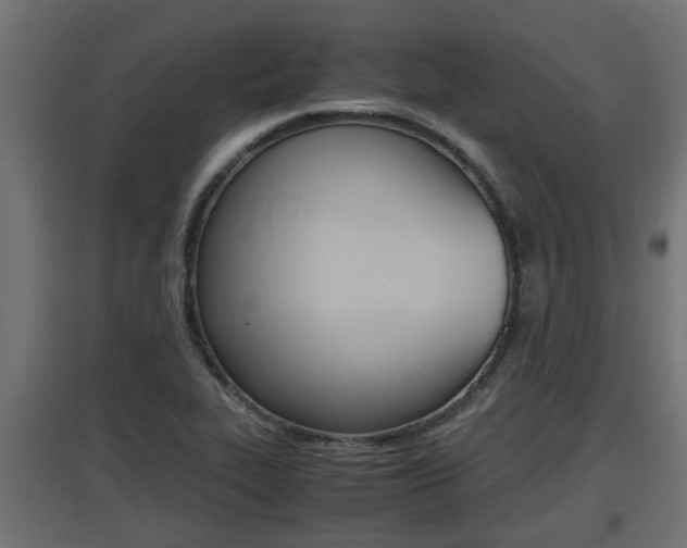 X0000097661319200802290912