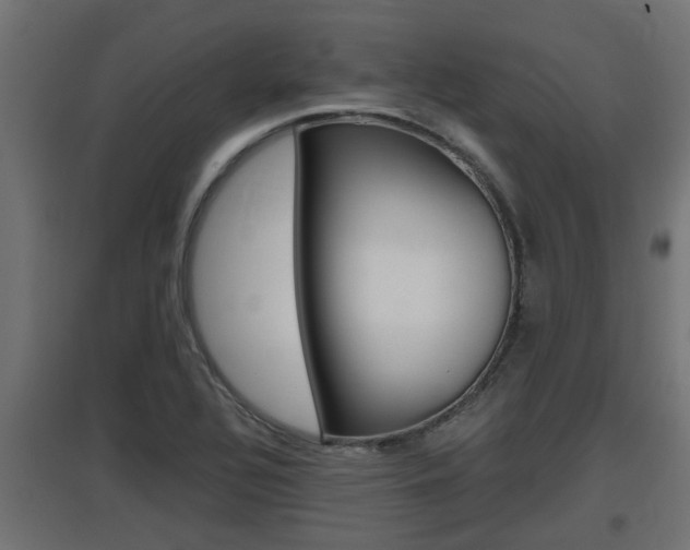 X0000097661320200802290912