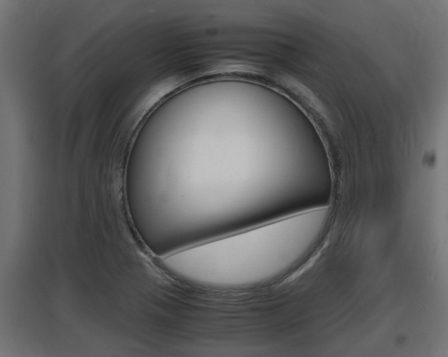 X0000097661321200802290912