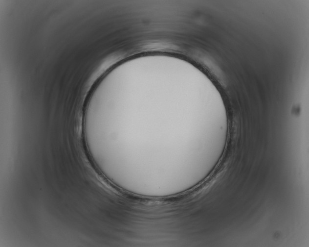 X0000097661322200802290912