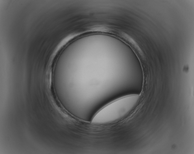 X0000097661323200802290912