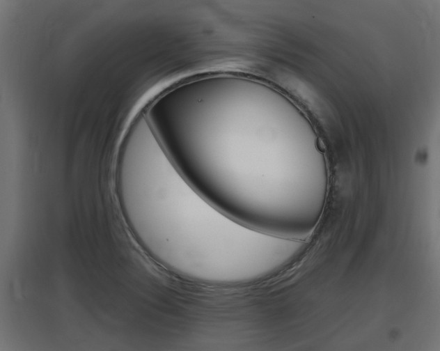 X0000097661324200802290912