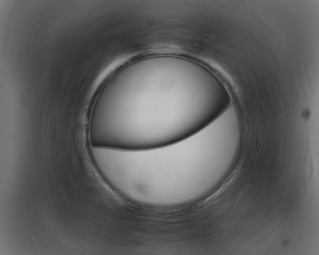 X0000097661325200802290912