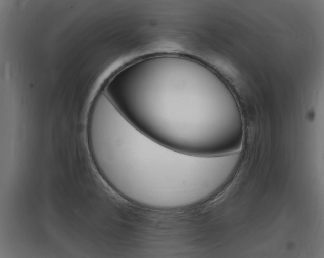 X0000097661326200802290912