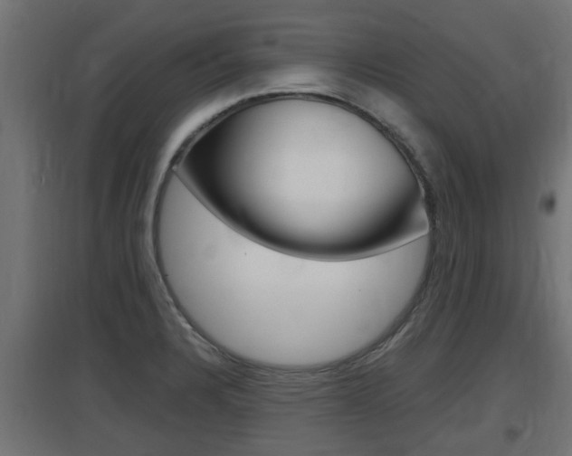 X0000097661328200802290912