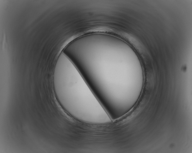 X0000097661329200802290912