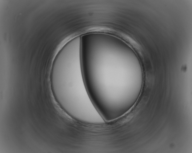 X0000097661330200802290912