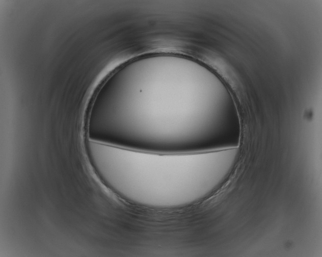 X0000097661331200802290912