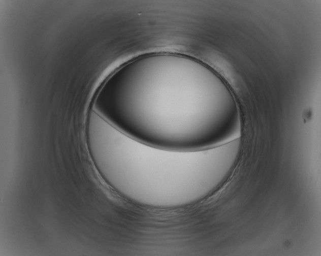 X0000097661332200802290912