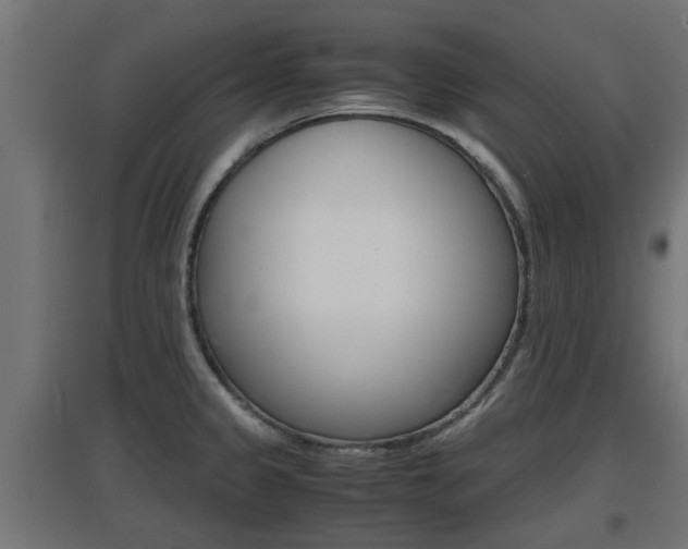 X0000097661333200802290912