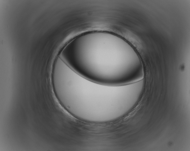 X0000097661334200802290912