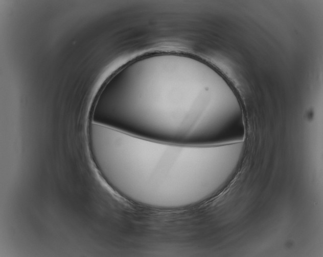 X0000097661335200802290912