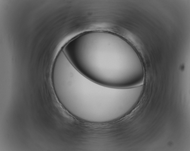 X0000097661336200802290912