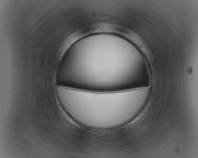 X0000097661337200802290912