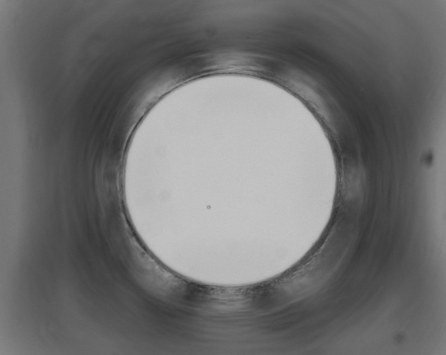 X0000097661338200802290912