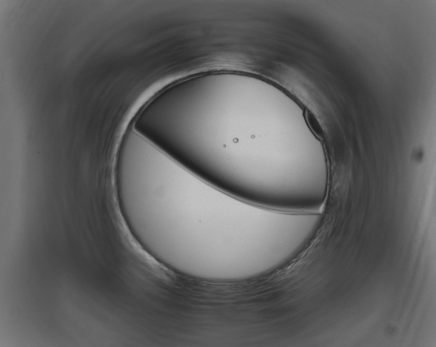 X0000097661339200802290912