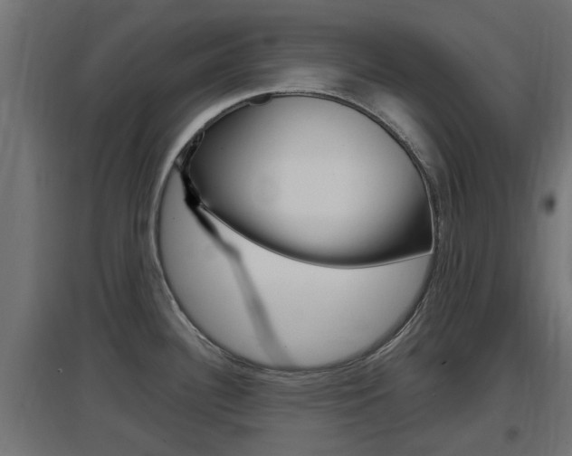 X0000097661340200802290912