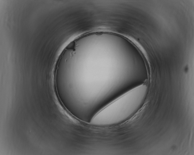 X0000097661341200802290912