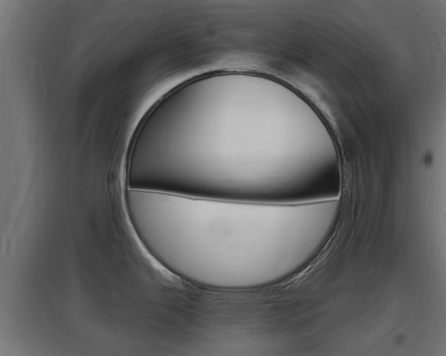 X0000097661343200802290912