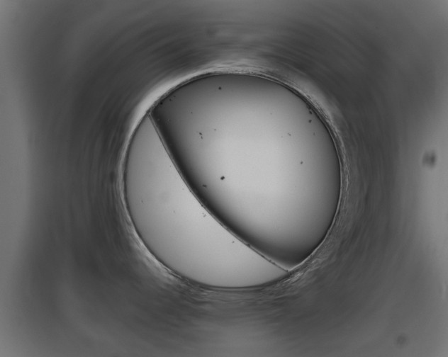 X0000097661344200802290912