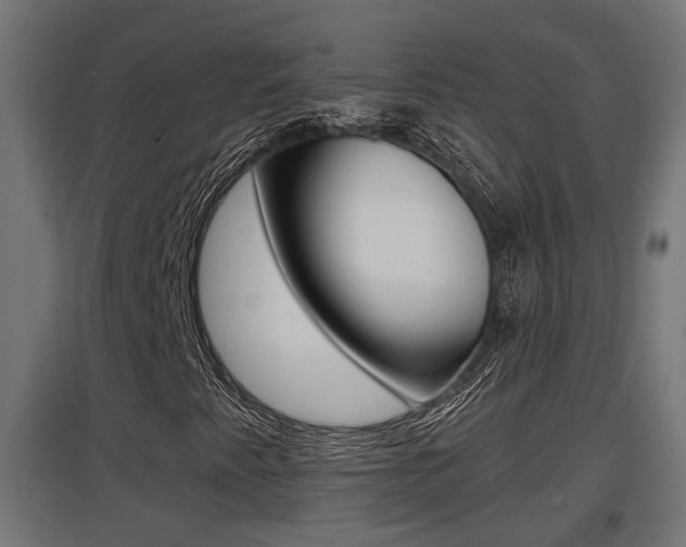 X0000097661345200802290912