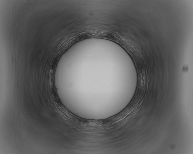 X0000097661346200802290912