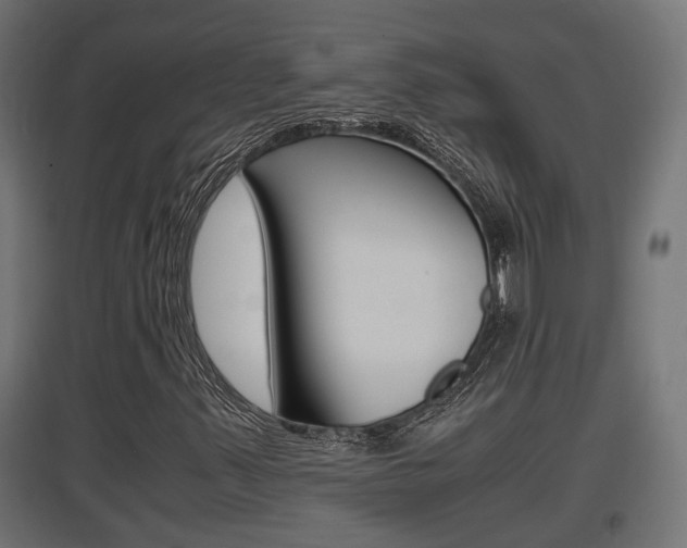X0000097661347200802290912