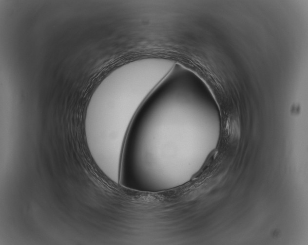 X0000097661348200802290912