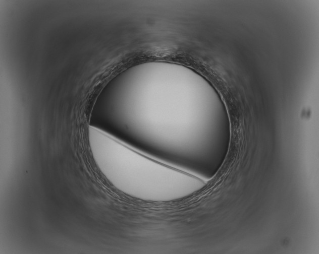 X0000097661349200802290912