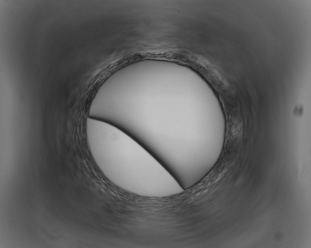 X0000097661350200802290912