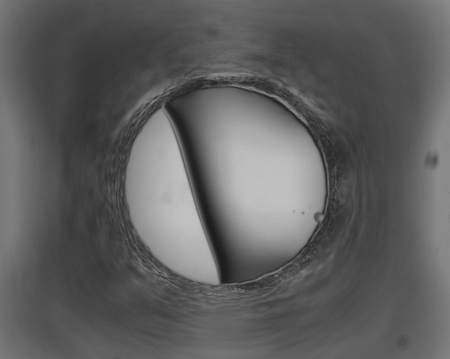X0000097661351200802290912