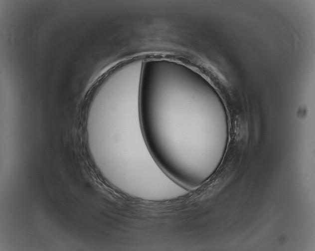 X0000097661352200802290912