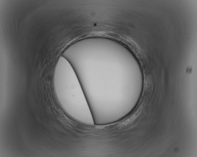 X0000097661353200802290912