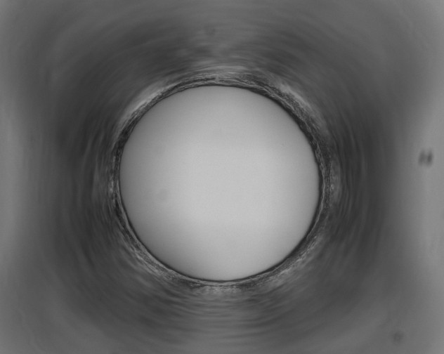 X0000097661354200802290912