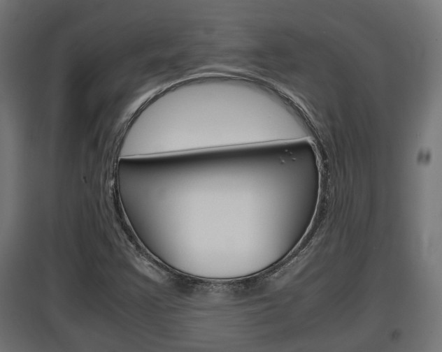 X0000097661355200802290912