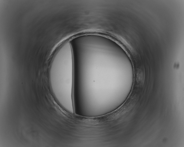X0000097661356200802290912