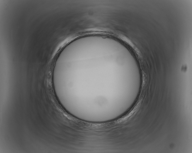 X0000097661357200802290912