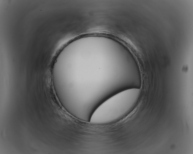 X0000097661358200802290912