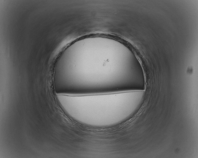 X0000097661359200802290912