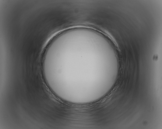 X0000097661360200802290912
