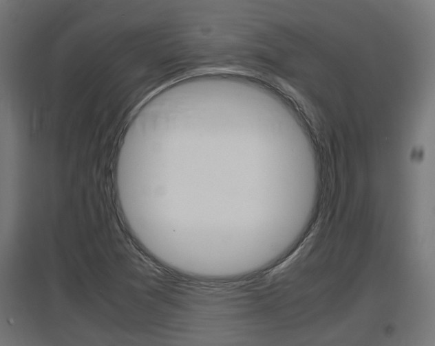 X0000097661361200802290911