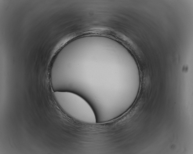 X0000097661362200802290911