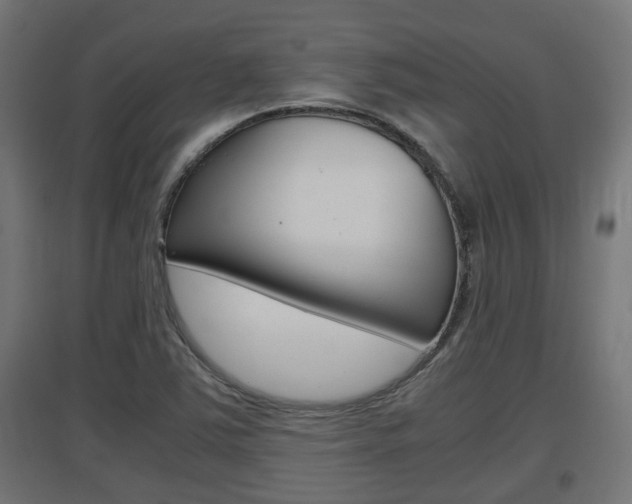 X0000097661363200802290911