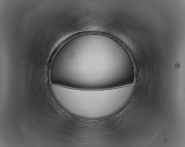 X0000097661364200802290911