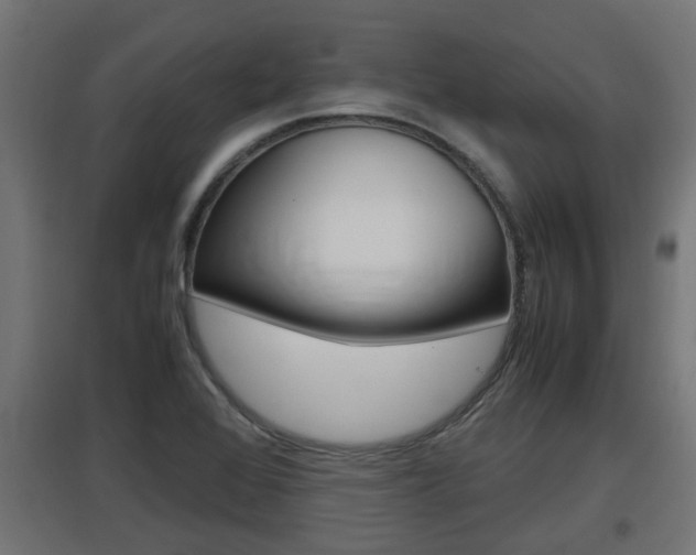 X0000097661368200802290911