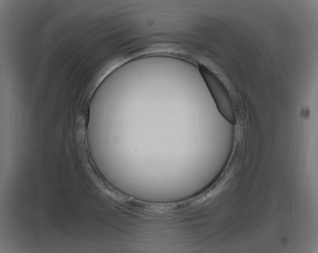 X0000097661369200802290911