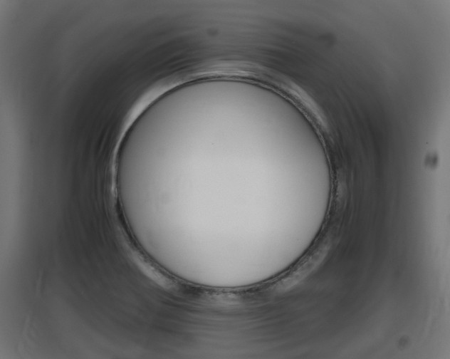 X0000097661370200802290911
